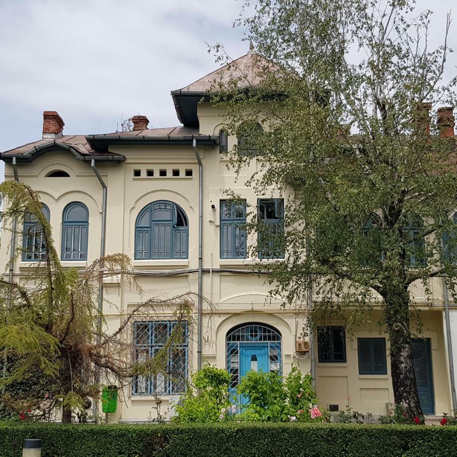 Old Town Apartament Apartment Targoviste Bagian luar foto